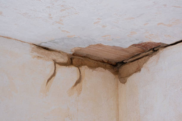Best Commercial water damage restoration  in Woodlawn, OH