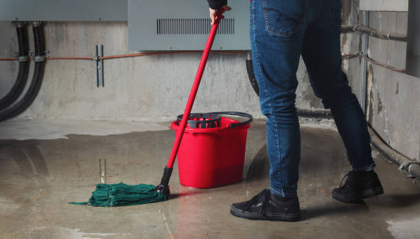 Best Fire Damage Restoration  in Woodlawn, OH