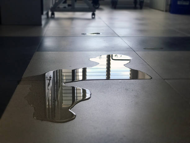 Professional Water damage restoration in Woodlawn, OH