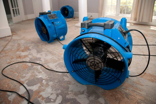 Best Water damage restoration near me  in Woodlawn, OH