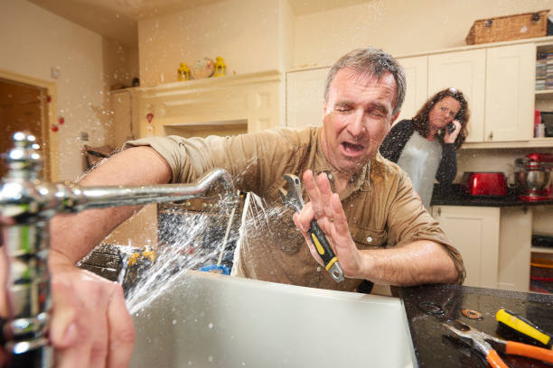 Best Professional water damage repair  in Woodlawn, OH